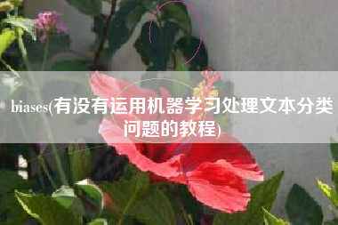 biases(有没有运用机器学习处理文本分类问题的教程)