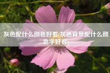 灰色配什么颜色好看(灰色背景配什么颜色字好看)
