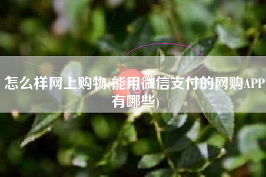 怎么样网上购物(能用微信支付的网购APP有哪些)