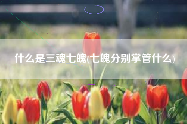 什么是三魂七魄(七魄分别掌管什么)