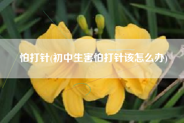详细阅读:怕打针(初中生害怕打针该怎么办) 怕打针(初中生害怕打针该怎么办)