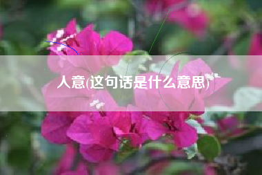人意(这句话是什么意思)