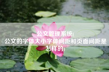 公文管理系统(
公文的字体大小字体间距和页面间距是怎样的) 公文管理系统(
公文的字体大小字体间距和页面间距是怎样的)