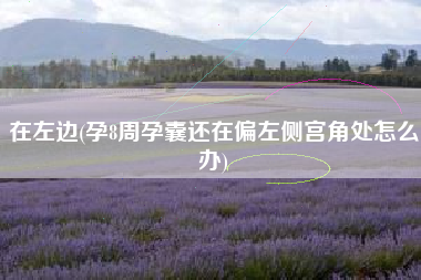 在左边(孕8周孕囊还在偏左侧宫角处怎么办)