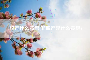 脱产什么意思(非脱产是什么意思)