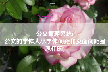 公文管理系统(
公文的字体大小字体间距和页面间距是怎样的) 公文管理系统(
公文的字体大小字体间距和页面间距是怎样的)