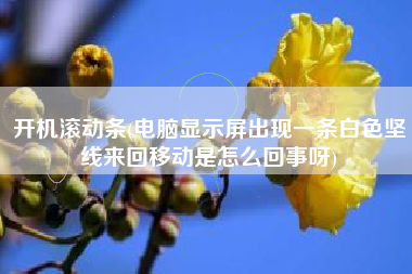 开机滚动条(电脑显示屏出现一条白色坚线来回移动是怎么回事呀)