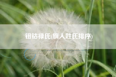 钮钴禄氏(旗人姓氏排序)