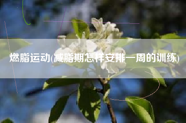 燃脂运动(减脂期怎样安排一周的训练)