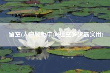 留空(入户鞋柜中间镂空多少最实用)