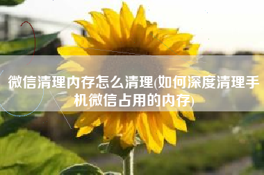 微信清理内存怎么清理(如何深度清理手机微信占用的内存)