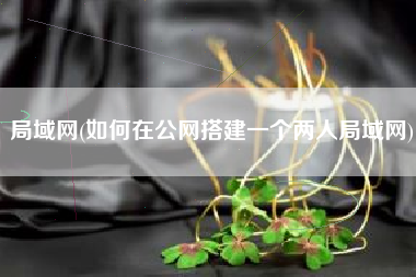 局域网(如何在公网搭建一个两人局域网)
