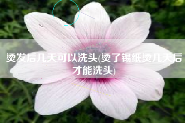 烫发后几天可以洗头(烫了锡纸烫几天后才能洗头)