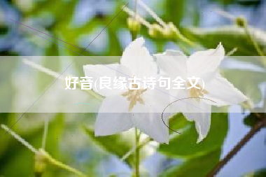 好音(良缘古诗句全文)