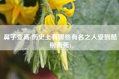 鼻子变高(历史上有哪些有名之人受到酷刑而死)