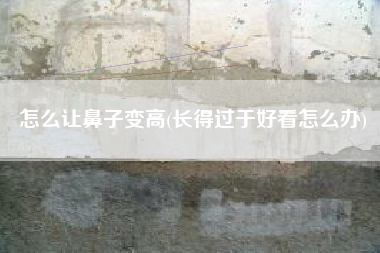 怎么让鼻子变高(长得过于好看怎么办)