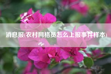 消息报(农村网格员怎么上报事件样本)