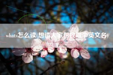 whats怎么读(想请大家帮我取个英文名)