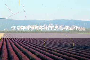 恢复平衡(9号平衡车怎么格式化)