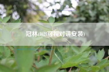 冠林(f62l可视对讲安装)