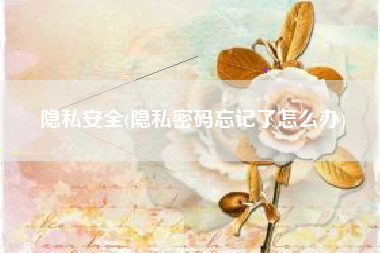 隐私安全(隐私密码忘记了怎么办)