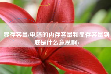 显存容量(电脑的内存容量和显存容量到底是什么意思啊)