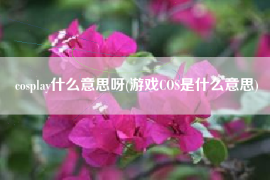 cosplay什么意思呀(游戏COS是什么意思)