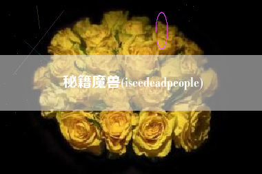 秘籍魔兽(iseedeadpeople)