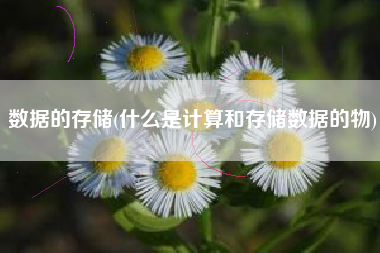 数据的存储(什么是计算和存储数据的物)