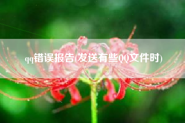 qq错误报告(发送有些QQ文件时)