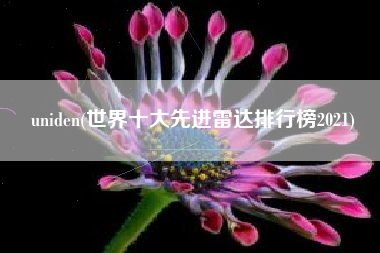uniden(世界十大先进雷达排行榜2021)