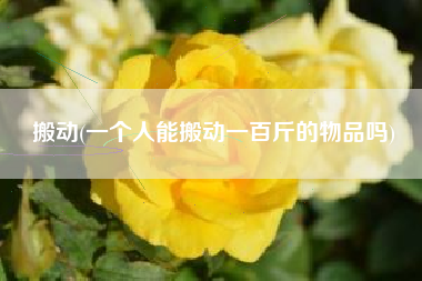 搬动(一个人能搬动一百斤的物品吗)