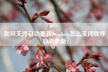 如何关闭自动更新(windows怎么关闭程序自动更新)