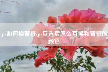 ps如何换背景(ps反选后怎么互换和背景的颜色)