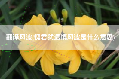 翻译风波(愧君犹遣慎风波是什么意思)