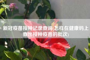 新冠疫苗接种记录查询(怎样在健康码上查出接种疫苗的批次)