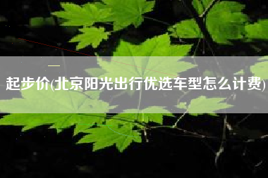 起步价(北京阳光出行优选车型怎么计费)