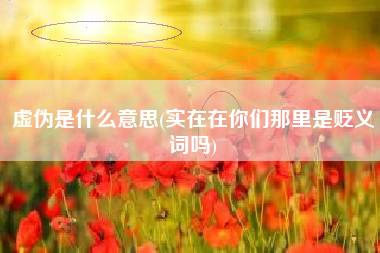 虚伪是什么意思(实在在你们那里是贬义词吗)