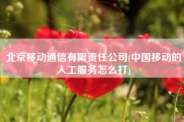 北京移动通信有限责任公司(中国移动的人工服务怎么打)