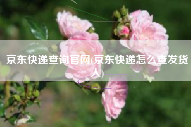 京东快递查询官网(京东快递怎么查发货人)