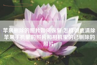 苹果删除的照片如何恢复(怎样彻底清除苹果手机里的照片和相机里的已删除的照片)