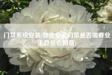 门禁系统安装(物业安装门禁是否需要业主委员会同意)
