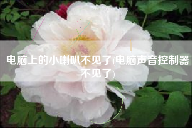 电脑上的小喇叭不见了(电脑声音控制器不见了)