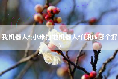我机器人2(小米扫地机器人2代和3c哪个好)