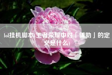 lol挂机脚本(王者荣耀中对「辅助」的定义是什么)
