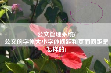 公文管理系统(
公文的字体大小字体间距和页面间距是怎样的) 公文管理系统(
公文的字体大小字体间距和页面间距是怎样的)