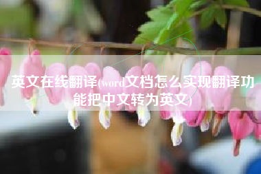 英文在线翻译(word文档怎么实现翻译功能把中文转为英文)