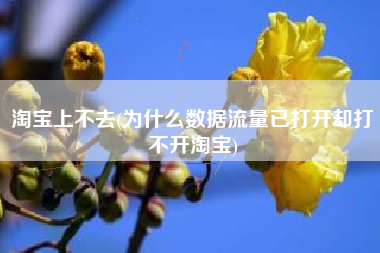 淘宝上不去(为什么数据流量已打开却打不开淘宝)