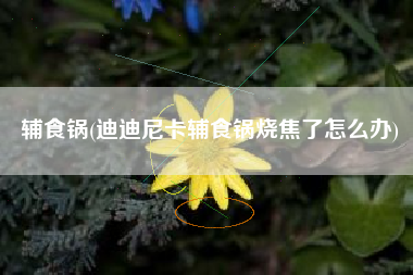 辅食锅(迪迪尼卡辅食锅烧焦了怎么办)