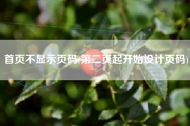首页不显示页码(第二页起开始设计页码)